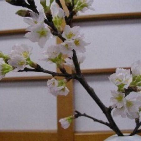 Wakaba Ryokan / Vacation Stay 29362 Sakata Εξωτερικό φωτογραφία